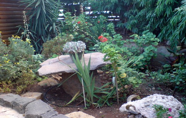 בקתות עדי - ������ �קרית שמונה - ������ ����